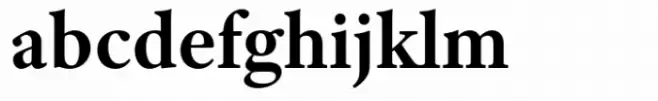 Adobe Text Bold