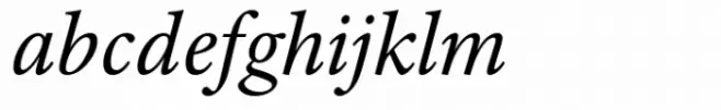 Adobe Text Italic