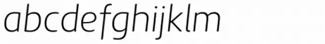 Aircrew Negative Light Italic