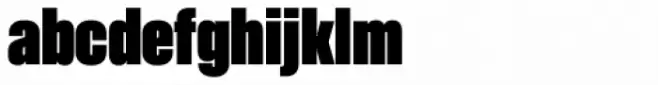 Akkordeon Eleven