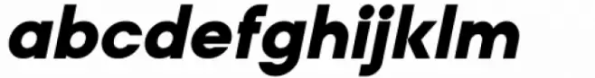 Alacrity Sans Black Italic