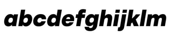 Alexer Black Italic