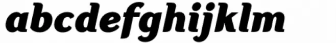 Aligarh Black Italic