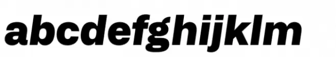 Alliance No 1 Black Italic