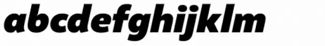 Altivo Black Italic