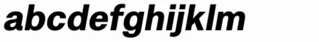 Amina Black Italic