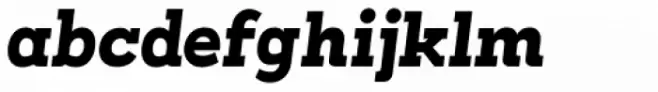 Arbour Black Italic