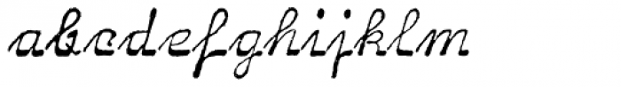 Archive Salisbury Script