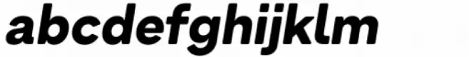 Armin Soft Black Italic