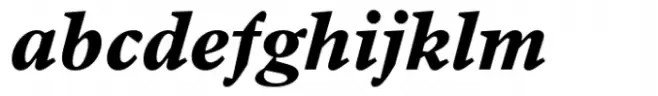 Arrieta Black Italic