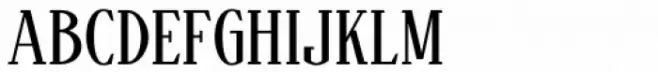 Bandung Pro Regular Serif