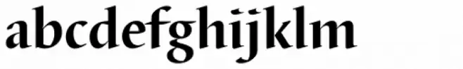 Barbedor EF Bold