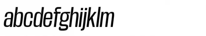 Base Neue Condensed Oblique
