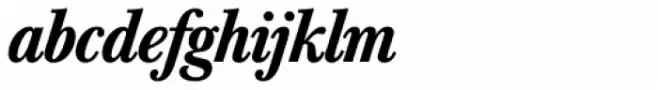 Baskerville Nr 1 SH Med Italic