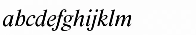 BD Megalona Variable Italic