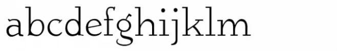 Bear Anark Thin