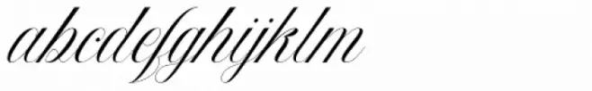 Beauty Athena Italic