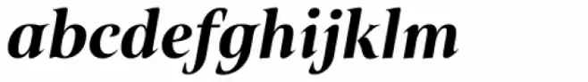 Belda Norm Black Italic