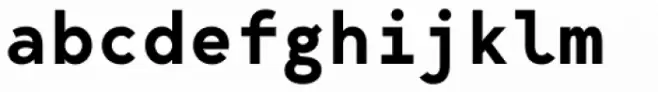 Bergen Mono Semi Bold