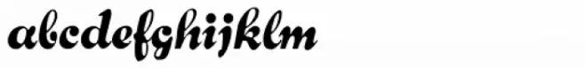 Bernhard Brushscript SG
