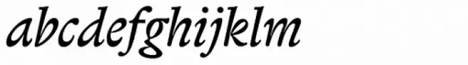 Biblon Italic