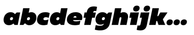 Bion Black Italic