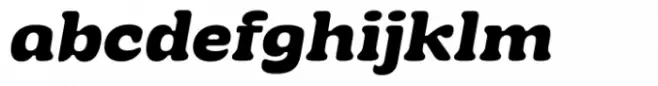 Bold Fashion Swash Light Italic