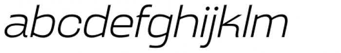 Broadside Light Extended Italic