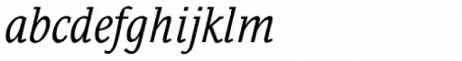 Bulldog Hunter Std Italic