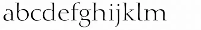 Calligraphic 810