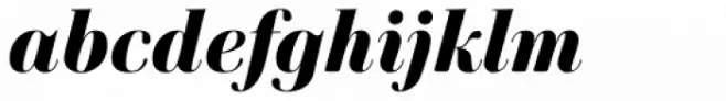 Cardillac Black Italic