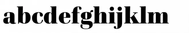 Cardillac Text Black