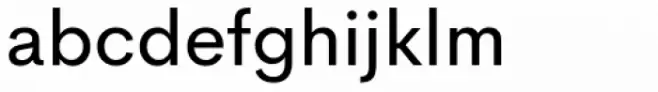 Cerebri Sans Book