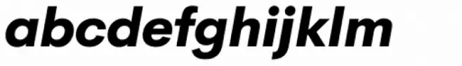 Cerebri Sans Heavy Italic