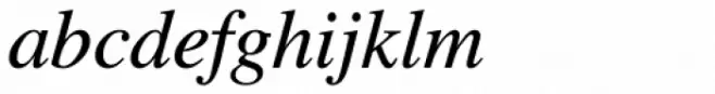 CG Times Italic