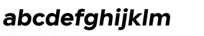 Cogenta Text Bold Italic
