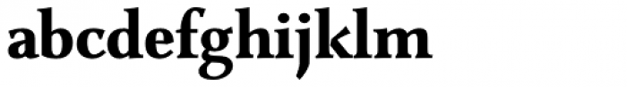 Combi Serif Bold