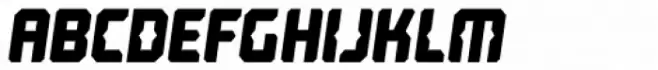 Computechnodigitronic Italic