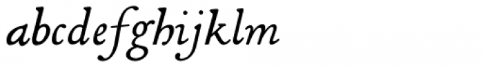 Decimosexto NF Italic