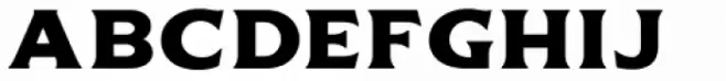 Delighter Script Bold Tracked