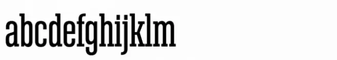 Denso Serif Medium