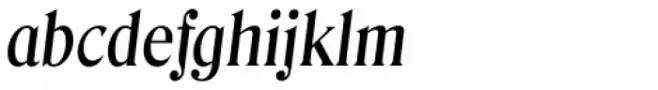 Denver Serial Medium Italic