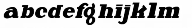 Deutsche Poster Italic