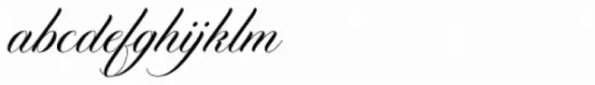 Diploma Script Pro
