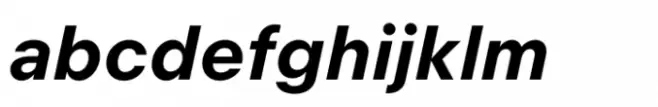 Dortmund Bold Italic