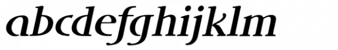 DT Skiart Lexiconic More Medium Italic
