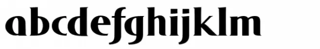 DT Skiart Serif Leaf More Bold