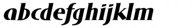 DT Skiart Serif Mini Xtra Bold Italc