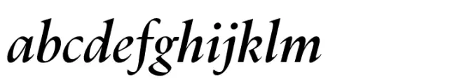 Dupincel Large Book Italic
