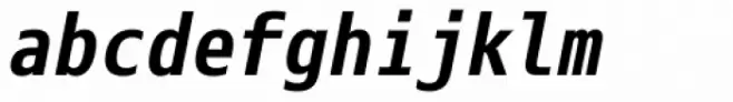 Eco Coding WGL4 Bold Italic